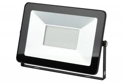 Прожектор ЭРА Eco LPR-100-6500K SMD Eco Slim