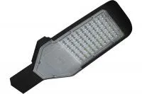 Уличный светодиодный светильник PSL 02 PRO-5 50w 5000K IP65 BL 85-265V 5019959