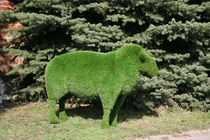 Топиарная фигура Овечка парковая