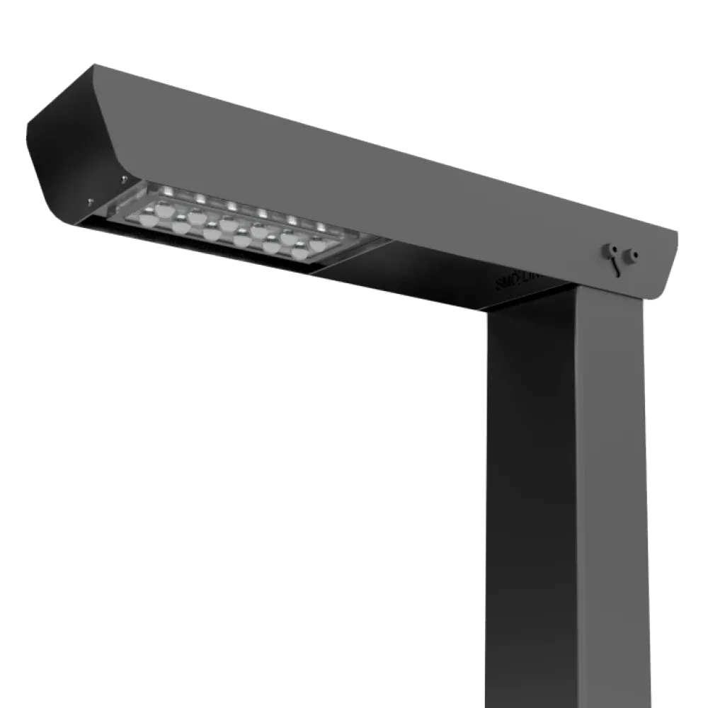 Парковый светодиодный светильник SMD-PARK-FLEX F1 30Вт